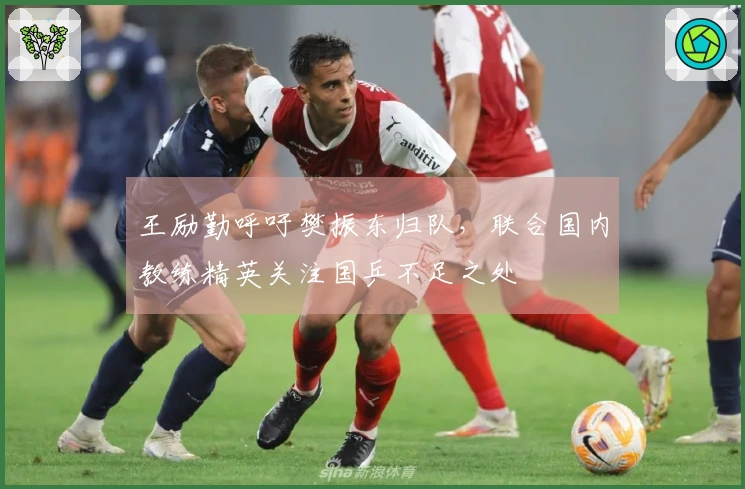 王励勤呼吁樊振东归队，联合国内教练精英关注国乒不足之处