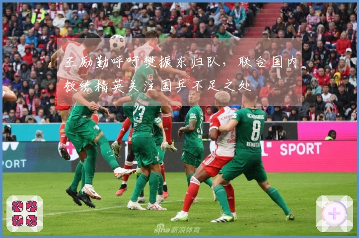 王励勤呼吁樊振东归队，联合国内教练精英关注国乒不足之处